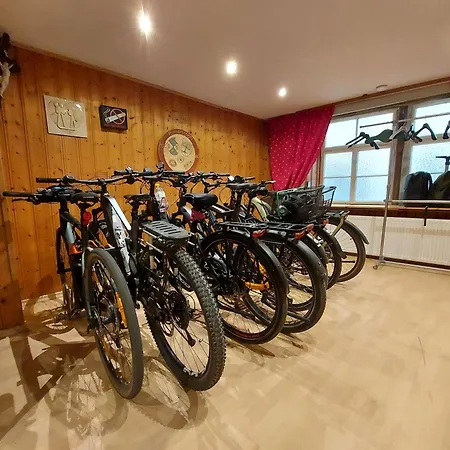 Inselgraben Garni 2* لينداو